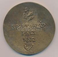1972. "Pedagógusjelöltek I. Országos Találkozója / Spartakiád Pécs 1972" kétoldalas Br pla...