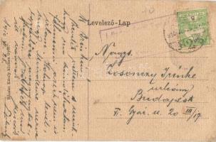 1910 Győr, Püspökvár, Rába híd. Kiadja Rőszler Károly. Címeres litho keret (megerősített sarkak / re...