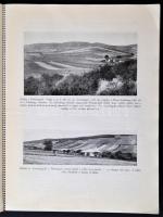 A Nemzeti Stadion az (óbudai) Aranyhegyen. Előszó Botzenhardt János, Andréka Károly, Martin Gyula. (...