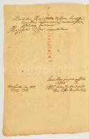 1765 Az ujvidéki tanács előterjesztése az udvarhoz a Vitkovics család katonai érdemeinek elismerésér...