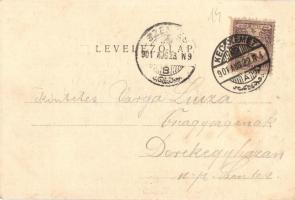 1901 Kecskemét, Piac tér, Schwarcz Soma, Pollák Lajos, Bóka Zsigmond üzlete, Gyógyszertár. Schwarcz ...