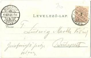 1899 Győr, Széchenyi tér, ünnepség, tömeg. Kiadja Berecz Viktor. Art Nouveau, floral, litho (vágott ...