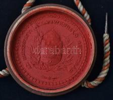 1914 Bp., a selmecbányai bányászati és erdészeti főiskola erdőmérnöki oklevele, a grafikát Prenoszil...