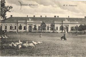 1908 Battonya, M. k. pénzügyőrség, M. k. Adóhivatal, M. k. Csendőrség