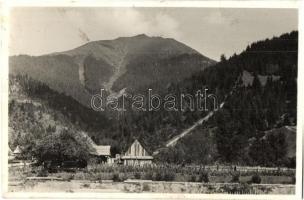 Borsabánya, Baile Borsa; Látkép - 2 db régi képeslap / genral view - 2 pre-1945 postcards