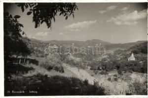 Rónaszék, Costiui (Máramaros); Látkép / general view