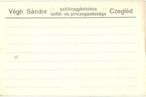 Cegléd, Végh Sándor szőlőnagybirtokos szőlő és pincegazdasága, présház, szőlő és vasút részlet / Hun...