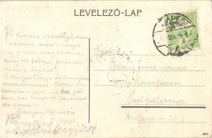 Zilah, Zalau; Kónya Miklós Somos oldali szőlője / vineyards (Rb)