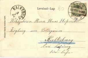 1902 Győr, Regatta pavilon, csónakház. Kiadja Rőszler Károly. Címeres litho keret (kis szakadás / sm...