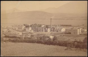 1897 Brassói Cellulose-Gyár, keményhátú fotó, sérüléssel, 17×226 cm / Brasov, cellulose factory, vintage photo with fault