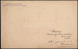 1897 Brassói Cellulose-Gyár, keményhátú fotó, sérüléssel, 17×226 cm / Brasov, cellulose factory, vin...