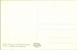 Ipolyság, Sahy; utcakép, országzászló. Tóth és Brza kiadása / street view with Hungarian flag