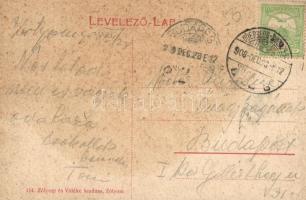 Zólyom, Zvolen; vár, híd. Zólyom és Vidéke 114. / castle, bridge (fl)