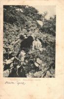 Felsőbánya, Baia Sprie; Gyurka ház, Bányahegy - 2 db régi képeslap / rest house, mountain - 2 pre-19...