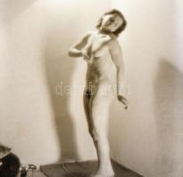 Női aktok, 6 db fotónegatív, 9×6 cm