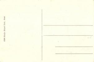 Világos, Siria; várrom / castle ruin