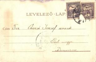 1902 Budapest VII. Baross szobor, Baross Gábor arcképe. Könyves litho keret / Art Nouveau, book lith...