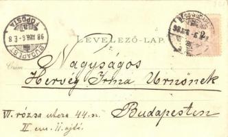 1898 Vác, fegyintézet, Nagytemplom, Siket néma intézet. Ottmar Zieher, floral litho