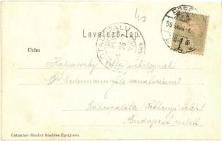 1905 Kapi, Kapusany (Eperjes vidéke / near Presov); várrom. Cattarino Sándor kiadása / Kapusiansky h...