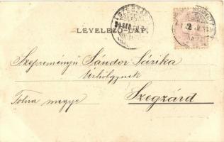 1899 Dévényújfalu, Theben-Neudorf, Devínska Nová Ves (Pozsony, Bratislava); utcaképek, Római katolik...