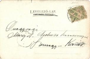 1902 Fiume, Rijeka; Adamich tér, F. A. Schnautz üzlete és saját kiadása / Piazza Adamich / square, H...