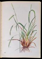 Dr. Majer Antal: Erdő- és termőhelytípusok útmutató növényei. Dr. Csapody Vera illusztrációival. Bp....