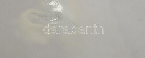 cca 1900 Herendi áttört szélű madaras dísztányér, kézzel festett, jelzett (csak mélynyomás), hibátla...