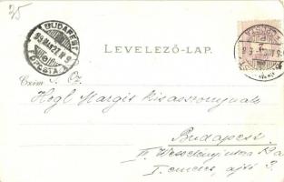 1899 Újvidék, Neusatz, Novi Sad; városház, Duna utca, Ferenc József tér, Római katolikus templom, Pé...