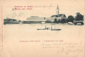 1900 Dálya, Dalja, Dalj; Cijelokupni vidik Dalsjki / general view