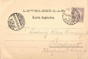 1900 Dálya, Dalja, Dalj; Cijelokupni vidik Dalsjki / general view