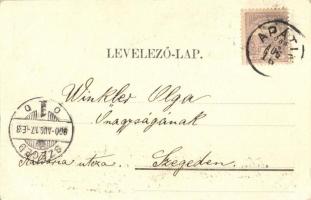 1900 Apatin, Téli kikötő / winter port