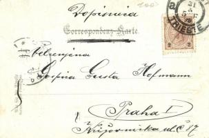 1899 Trieste, Stazione Sant'Andrea (St. Andrea) / railway station  / Bahnhof