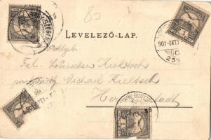 1901 Szászsebes, Mühlbach, Sebes; Roter Berg, Bahnhof, Staadtpark / Vörös-szakadék, Vasútállomás, Pa...