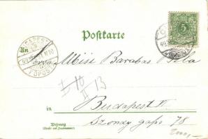 1893 (Vorläufer!) Köln, Cologne, Cöln; Wilh. Schütz floral, litho