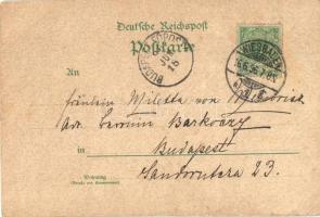 1896 (Vorläufer!) Biebrich, Schloss / castle. Louis Glaser litho (EB)