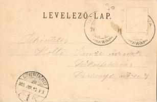 1905 Berszászka, Bersasca, Drenkova, Drencova; utcakép a folyóparton, ökrös szekér. Hutterer G. 70. ...