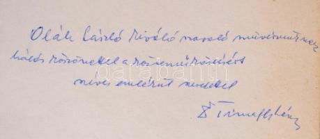 Timaffy László: Rábaköz és a Hanság. Győr, 1991, Novadat. Kiadói nylon-kötés, kiadói papír védőborít...
