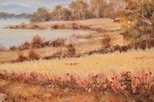 Feith Károly (1930-): Tó vitorlásokkal. Olaj, farost, jelzett, keretben, 60×80 cm