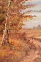 Feith Károly (1930-): Tó vitorlásokkal. Olaj, farost, jelzett, keretben, 60×80 cm