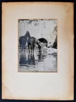 cca 1930 Lómosdatás, fotó, paszpartuban, 21,5×16 cm