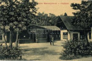 Marosújvár, Ocna Mures; Gőzfürdő. W. L. 1602. / steam bath (EK)