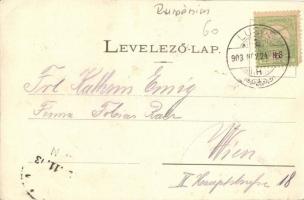 1903 Temesvár, Timisoara; Kossuth Lajos utca, Takarékpénztár, villamos / street view, savings bank, ...