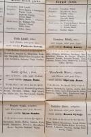 cca 1867-1870 Temes vármegye alkotmányos tiszti karának névsorra. Temesvár, Förk K. G., sérült, a cí...