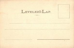 Rónaszék, Costiui, Rohnen (Máramaros); Ferenc-bánya és környéke. Kaufman Ábrahám kiadása / salt mine