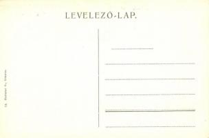 Orsova, Duna sor, omnibusz, Pataki Samu Magyar Király szállodája / Donauzeile / street view, horsebu...