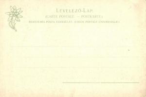 Poprád (Tátra), Magyar Kárpát Egyesület múzeuma. Feitzinger Ede 67. L. /  Museum of Hungarian Carpat...