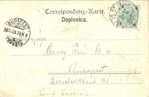 1900 Pivka, St. Petra na Krasu, San Pietro del Carso, St. Peter in Krain; Kolodvor / Bahnhof / railw...