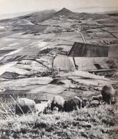 2 db könyv - Illyés Gyula-Reismann János: Balaton. Bp., Corvina. + Irány a Balaton! Balatoni Idegenf...