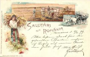 1899 Salutari din Romania, Greetings from Romania! folklore, ox cart, farmers ploughing. Storck & Müller 950. Art Nouveau, floral, litho