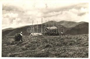 Körösmező, Jaszinya; fatemplom, Tiszaborkút, Tisza forrása - 4 db régi képeslap / wooden church, Tis...